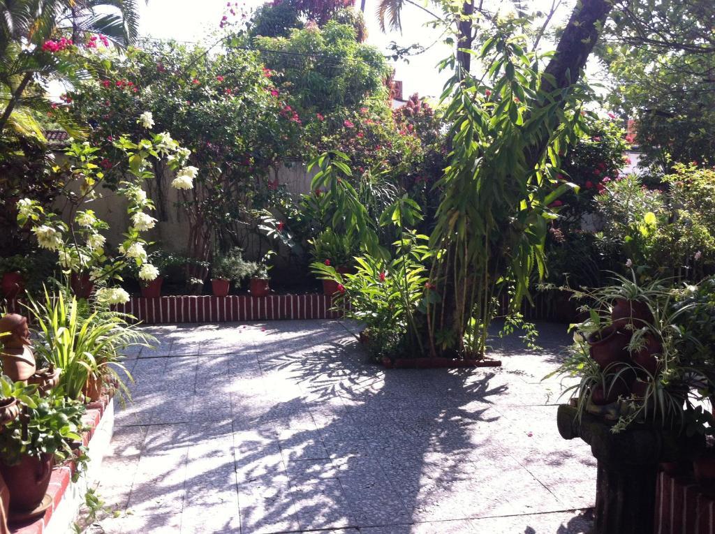Casa Tukari Colonial House Hotel Πουέρτο Βαγιάρτα Εξωτερικό φωτογραφία